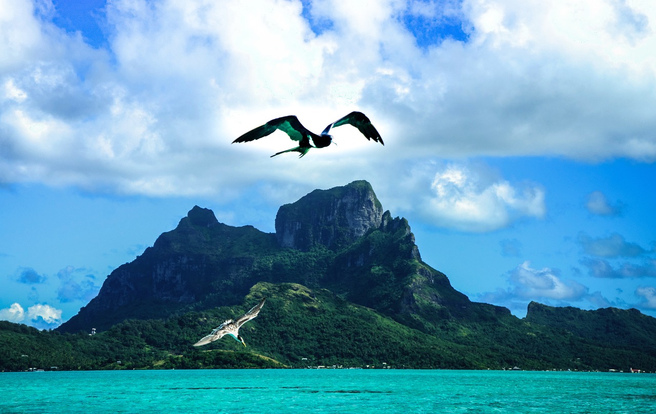 洞庭湖枯水期的惊喜之旅